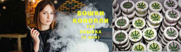 крисы Дмитровск