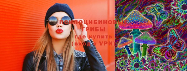 крисы Дмитровск